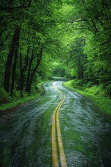 Obraz premium Winding Road Through Lush Green Forest After Rain