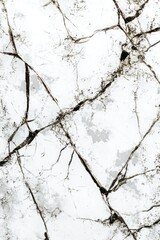 Cracked Black and White Floor