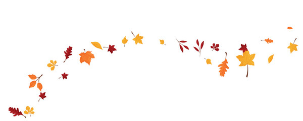 Wave of falling leaves. Leaf fall. Autumn falling leaves on a transparent background.