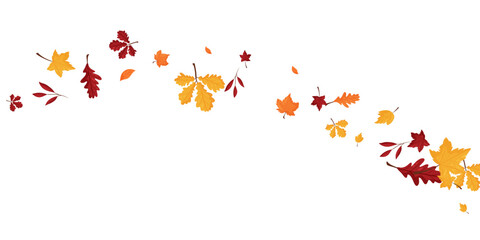 Wave of falling leaves. Leaf fall. Autumn falling leaves on a transparent background.