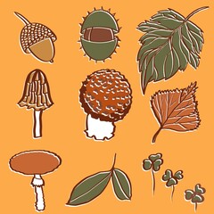 set of autumn leaves ornament, decoration, handmade, holiday, nut, acorn, colorful leaves and different shapes and colors, various mushrooms, chestnut, autumn, autumn mood