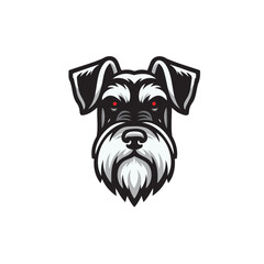 drawing of Schnauzer dog
Schnauzer dog head logo, vector outlines illustration on white background, Schnauzer set. Collection of pedigree dogs. Black white illustration of a schnauzer dog. Vector