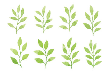 Assortment of watercolor leaves illustration set - green leaf branches collection for wedding, greetings, stationary, wallpapers, fashion, background. olive, green leaves, Eucalyptus etc