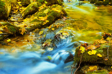 small mountain river rushing through canyon covered by red dry leaves
