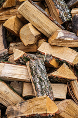 Man's Hands Stacking Chopped Firewood in a Woodpile Outdoors in Rural Countryside Background