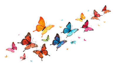 Fototapeta premium set of butterflies png, flying butterflies, group of butterflies, butterflies isolated on white transparent background, colorful butterfly