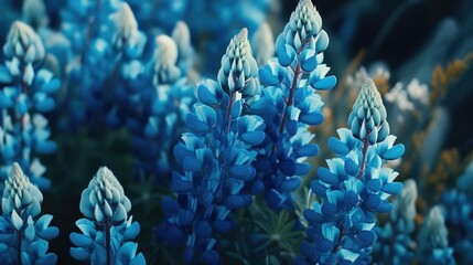 Obraz premium Blue Flowers in Grass