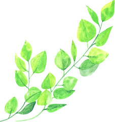 Tree branches swaying in the wind, watercolor painting hand-drawn illustration