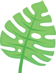 Single green monstera leaf growing upwards, with iconic splits and holes, isolated on a white background. Perfect for projects related to nature, plants, and tropical themes © Tartila