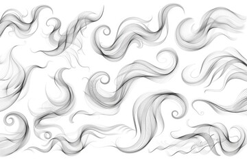 Fototapeta premium Different Hair Types