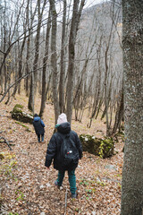 Naklejka premium Hikers Relishing a Calm and Peaceful Journey Along a Breathtaking Forest Path, Completely Surrounded by Bare Trees and Colorful Autumn Leaves