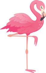 Pink flamingo is standing on one leg, with its neck curved in an elegant s shape. Its plumage is a beautiful shade of pink
