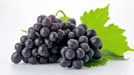 Fototapeta premium Luscious Black Grapes: Vibrant Freshness Enveloped in Nature's Greenery