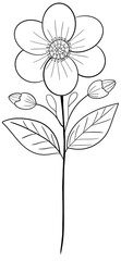 hand drawn flower