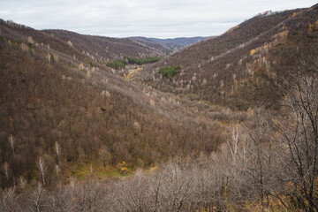 This truly breathtaking scene beautifully showcases a picturesque valley filled with vibrant, lush green trees and majestic mountains that rise proudly under a clear and bright blue sky
