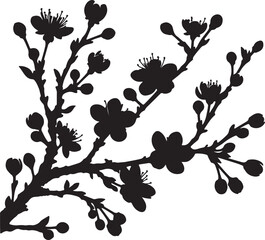 Sakura cherry flower silhouette vector art illustration. Isolated on transparent background.
