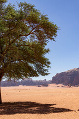 Wadi Rum