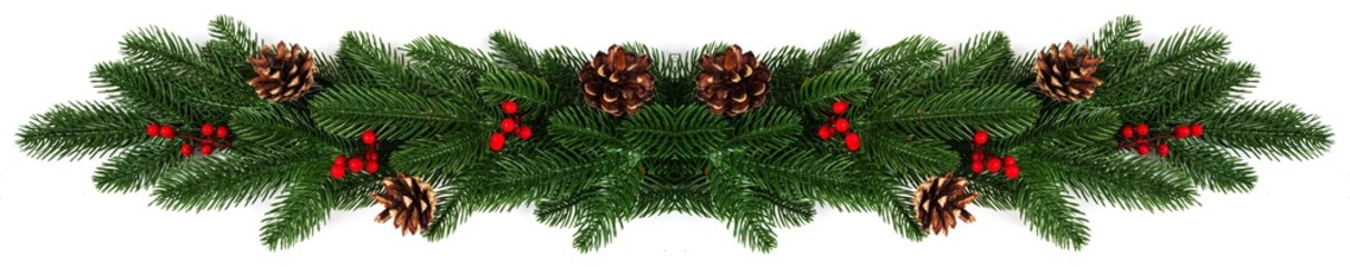 christmas fir banner on white
