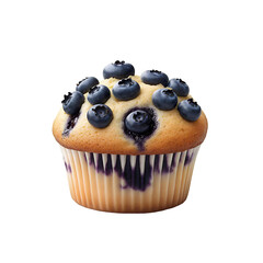 blueberry muffin isolated