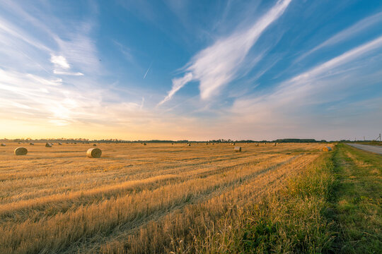A field of hay is in the foreground of a blue sky