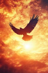 Fototapeta premium Bird in flight at sunset