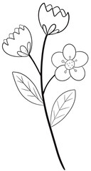 hand drawn flower