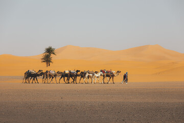 Caminando por el desierto