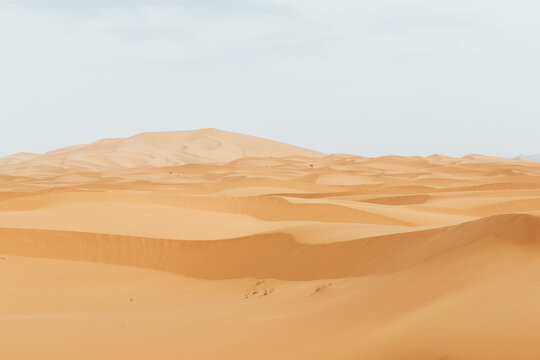 Dunas del desierto