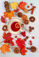 Autumn abstract composition with hot mulled wine, maple leaves, pine cones, nuts, cinnamon, star anise and rowan berries, still life, Thanksgiving concept, seasonal background, banner 