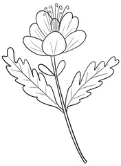 hand drawn flower