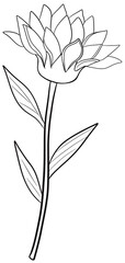 hand drawn flower