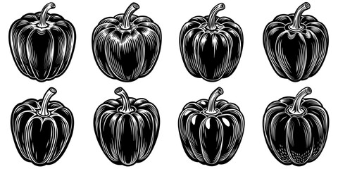line art vector illustration collection of bell pepper with wood cutting style. isolate on a white background. SVG and PNG
