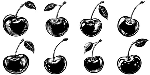 line art vector illustration collection of cherry with wood cutting style. isolate on a white background. SVG and PNG
