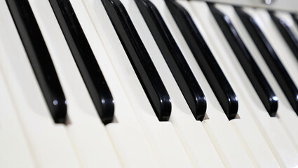 close up of accordion keys