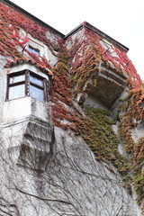 Burg Reifenstein bei Sterzing.