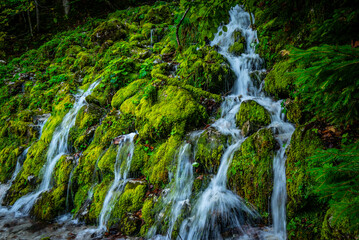 Wodospad w zieleni, spływający po kamieniach © grzegorz_pakula