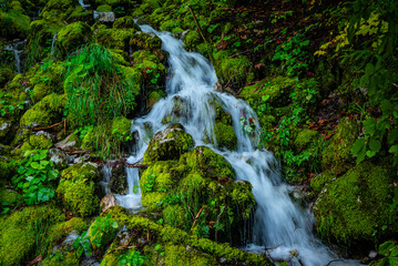 Wodospad w zieleni, spływający po kamieniach © grzegorz_pakula