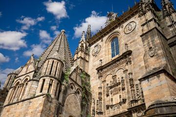 Renaissance side facade of Plasencia Cathedral, Cáceres, Extremadura, Spain with daylight