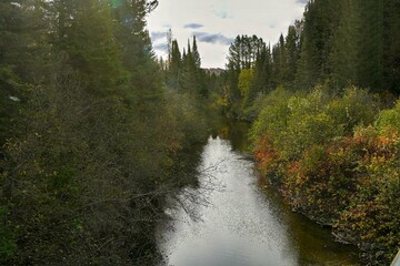 waterfall in the forest