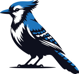 Beautiful Blue Jay Bird vector silhouette