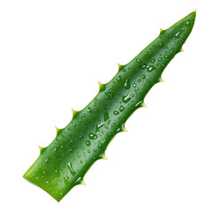 Naklejka premium Fresh aloe vera leaf with droplets, vibrant green, isolated on a clean background.