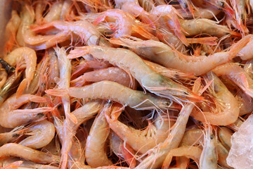 Fresh prawns in fish shop ready to be sold