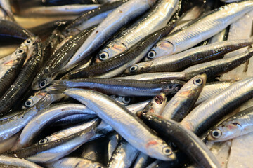 Fresh anchovies for sale at the fish market