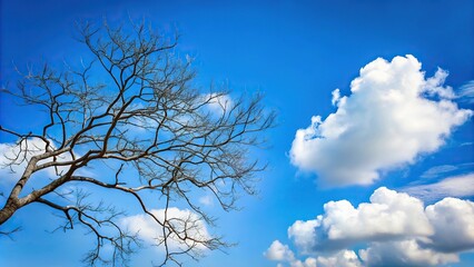 Minimalist tree without leaves on blue sky and white cloud background