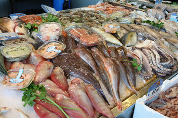 A fishmonger's counter full of fish, crustaceans and molluscs for sale