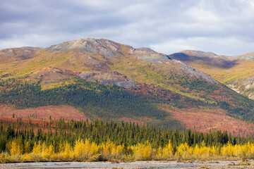 Scenic Autumn Landscape in Denali National Park Alaska