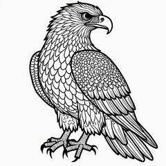 Fototapeta premium A detailed black and white illustration of an eagle with spread wings, showcasing its majestic features and intricate feather patterns