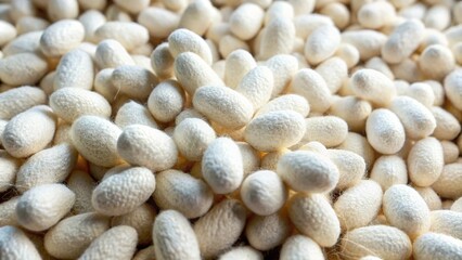 Silkworm cocoons producing raw silk material