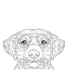 Labrador dog.Coloring book antistress for children and adults.