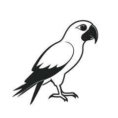 Fototapeta premium A black and white illustration of a parrot 